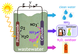 12. L. Barrera and R. Bala Chandran, Harnessing photoelectrochemistry for wastewater nitrate treatment coupled with resource recovery, ACS Sustainable Chemistry & Engineering (2021), doi: 10.1021/acssuschemeng.0c07935 